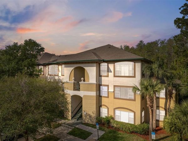17110 CARRINGTON PARK DRIVE , Unit 832, TAMPA, FL 33647