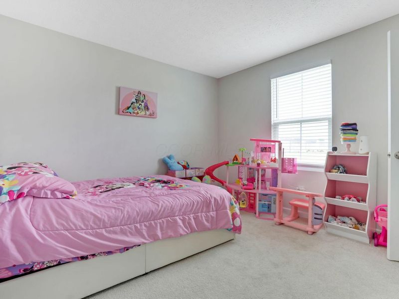 8521 Erie Loop, Canal Winchester, OH 43110 Photo 22