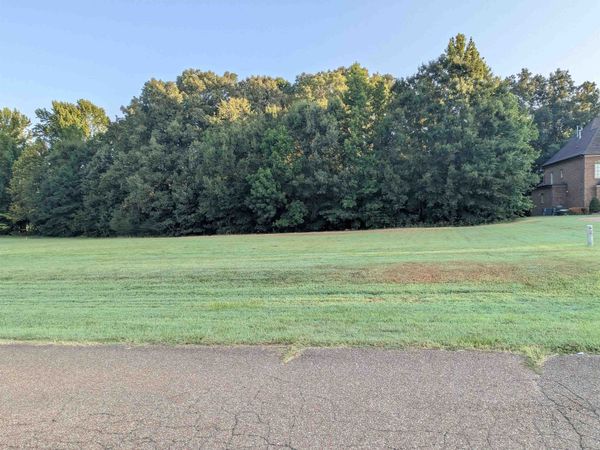 11888 STABLE VIEW DR, Eads, TN 38028