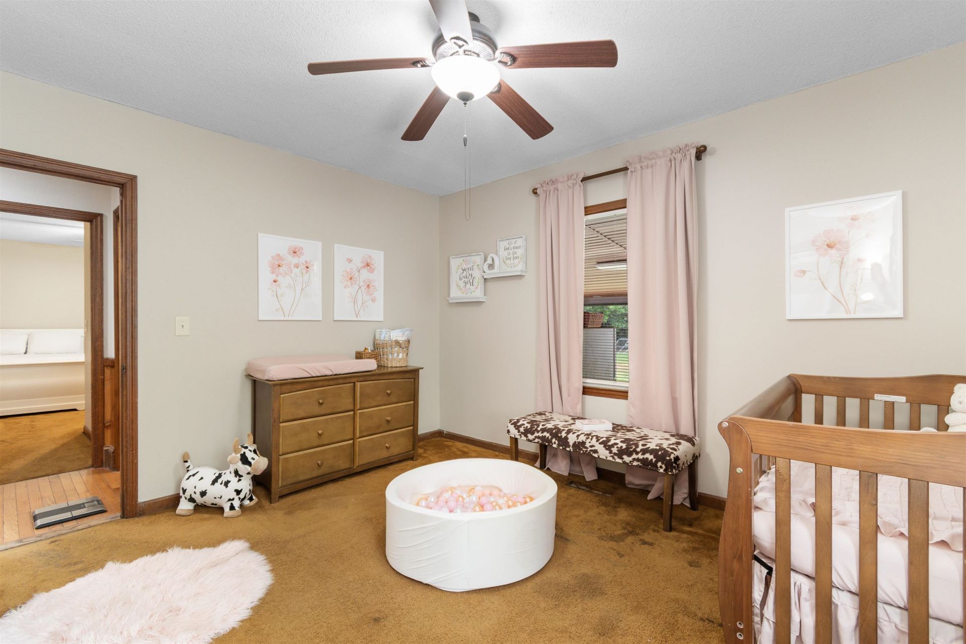 57 Missroon St.  Photo 24