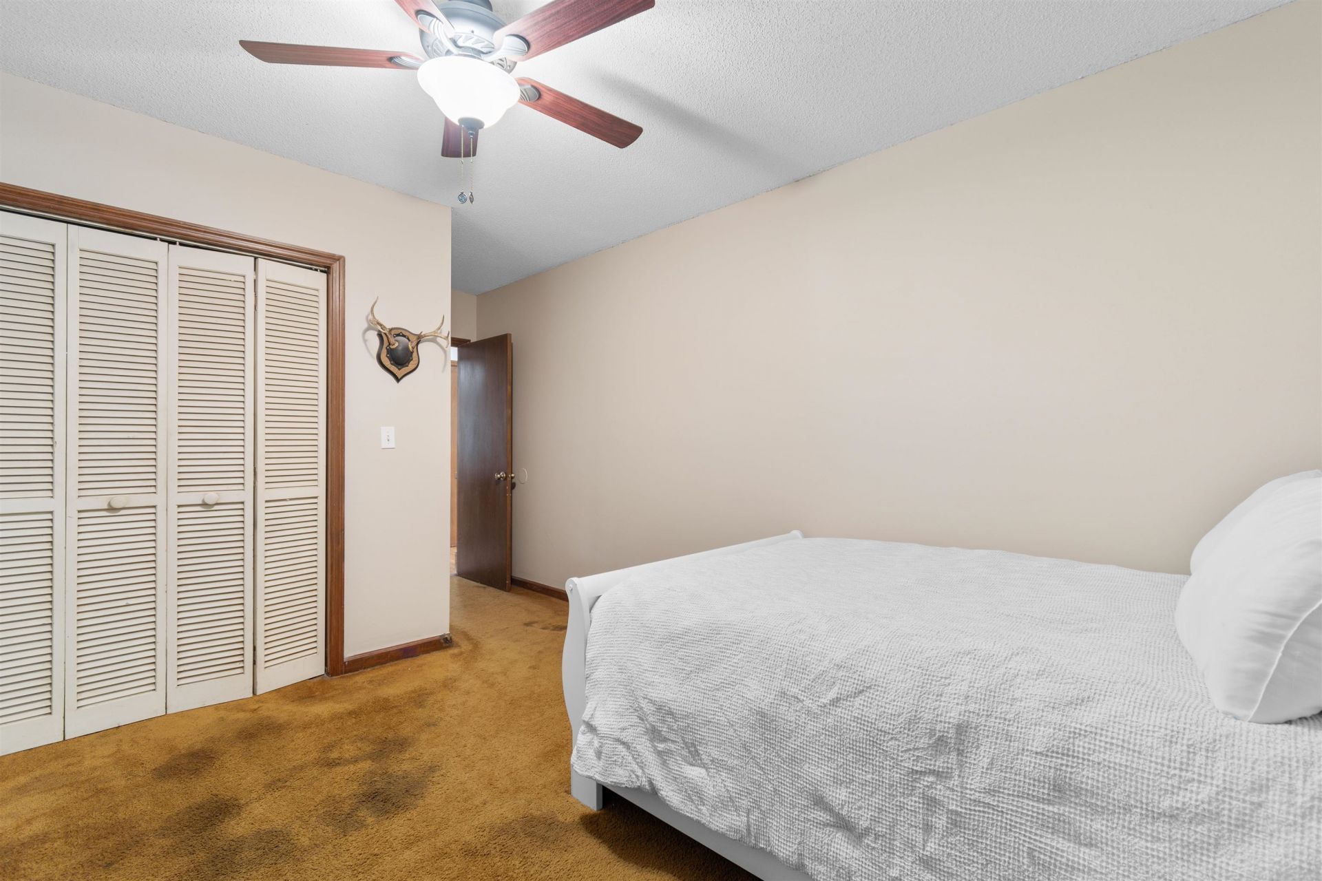 57 Missroon St.  Photo 27