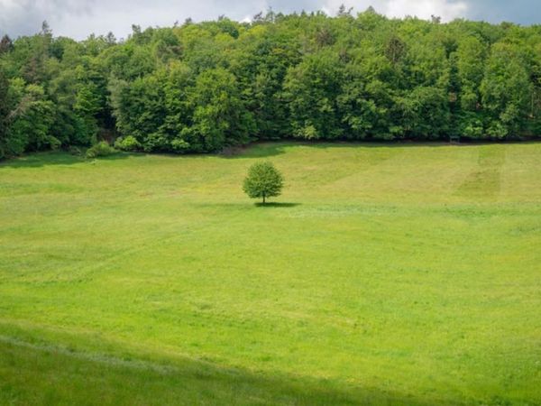11926 STABLE VIEW DR, Eads, TN 38028