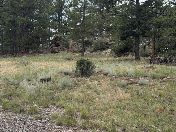 11042 County Road 1, Florissant, CO 80816