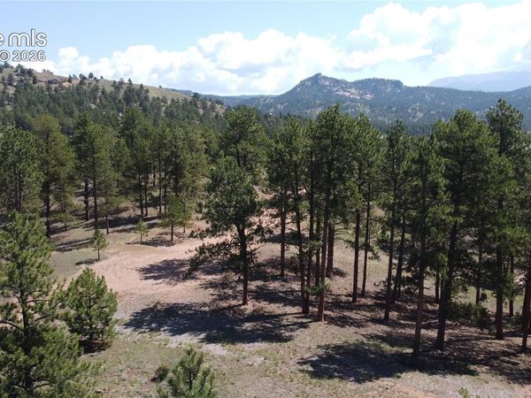 11042 County Road 1, Florissant, CO 80816