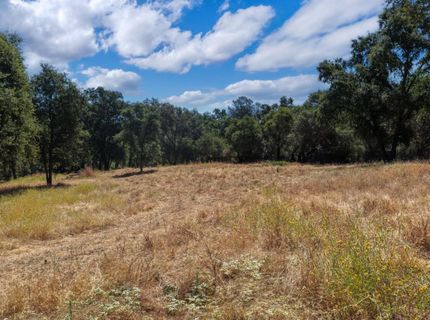 6201 Peace Springs Rd, Loomis, CA 95650 Photo