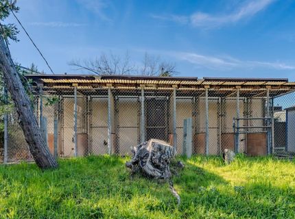 11071 State Highway 88, Jackson, CA 95642 Photo
