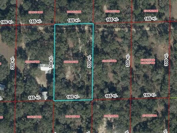 7770 NE 122ND PLACE , BRONSON, FL 32621