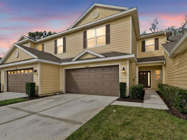 20112 INDIAN ROSEWOOD DRIVE , TAMPA, FL 33647