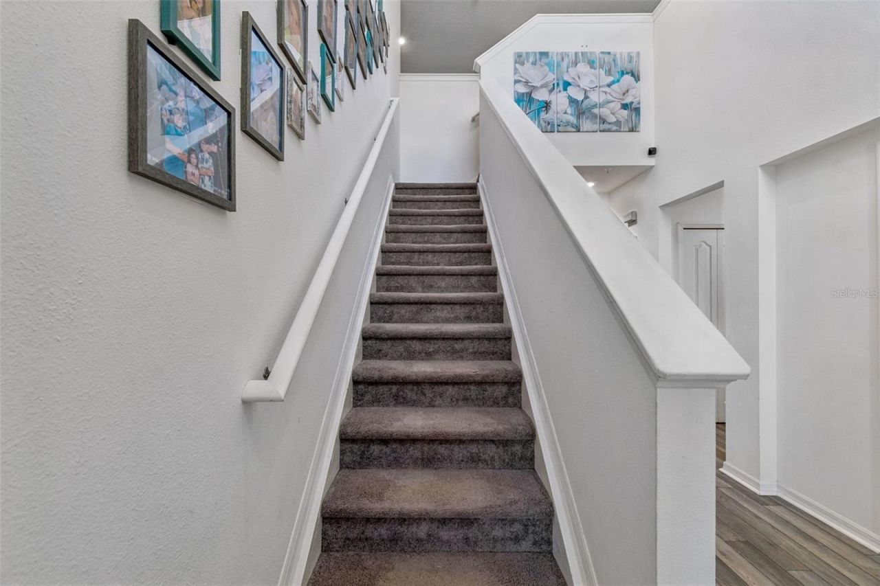 10501 Red Coach Street , Spring Hill, FL 34608 Photo