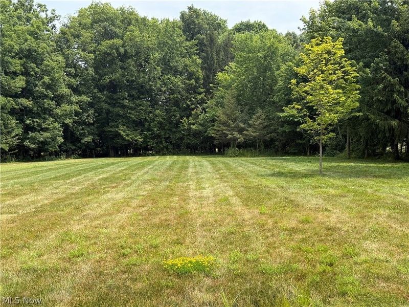 1463 Columbia Road, Valley City, OH 44280 Photo 3