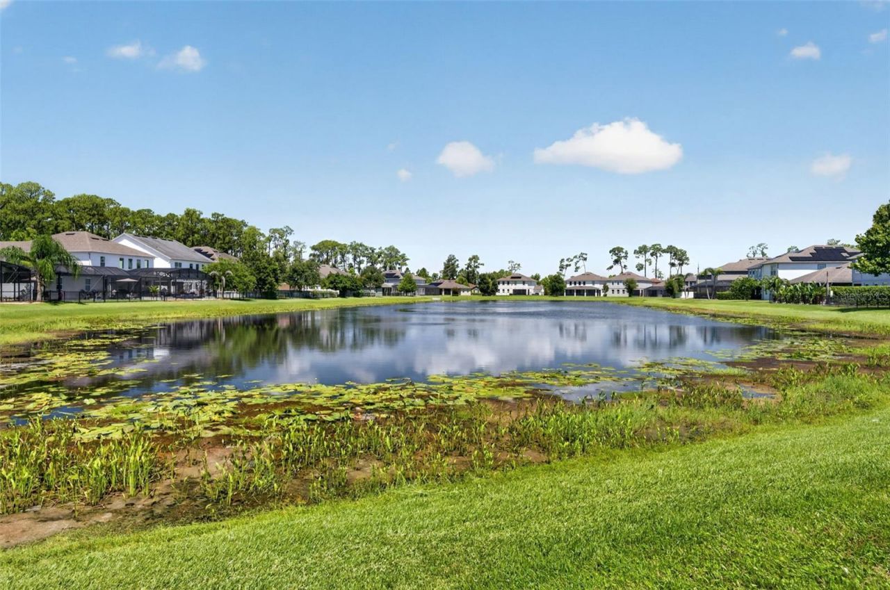 9202 Merlon Drive , Winter Garden, FL 34787 Photo