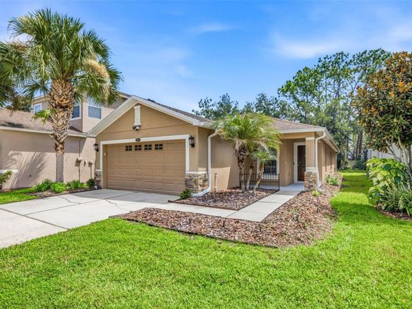 7861 TUSCANY WOODS DRIVE , TAMPA, FL 33647