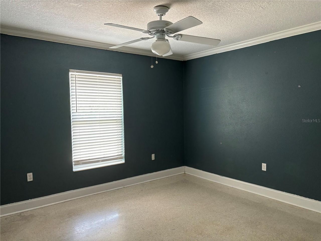 2050 High Ridge Drive, Clearwater, FL 33763 Photo