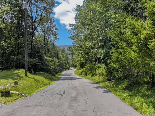 TDB White Roe Lake Road , Livingston Manor, NY 12758