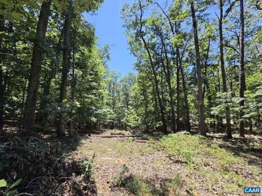 734 COLD SPRINGS DR , Shenandoah, VA 22849
