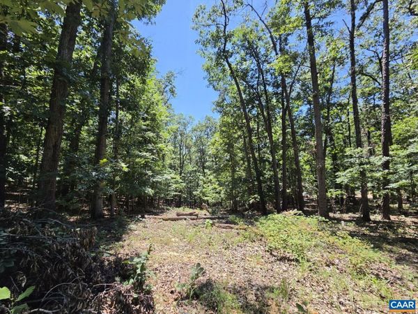 734 COLD SPRINGS DR , Shenandoah, VA 22849