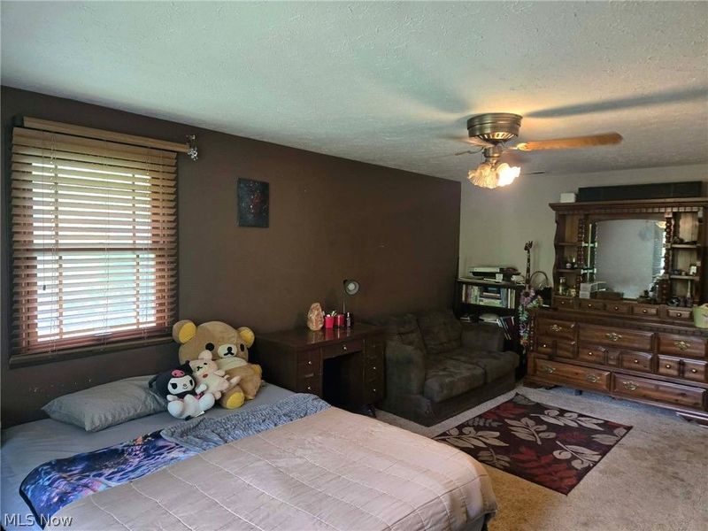 11709 Pinewood Trail, Chesterland, OH 44026 Photo 17