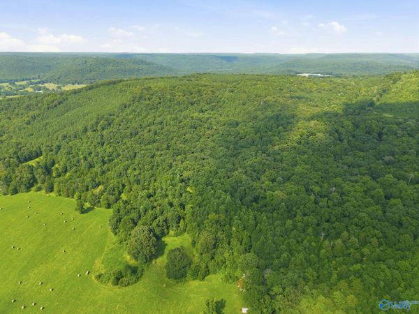 137 Acres Ausby Light Road, Somerville, AL 35760