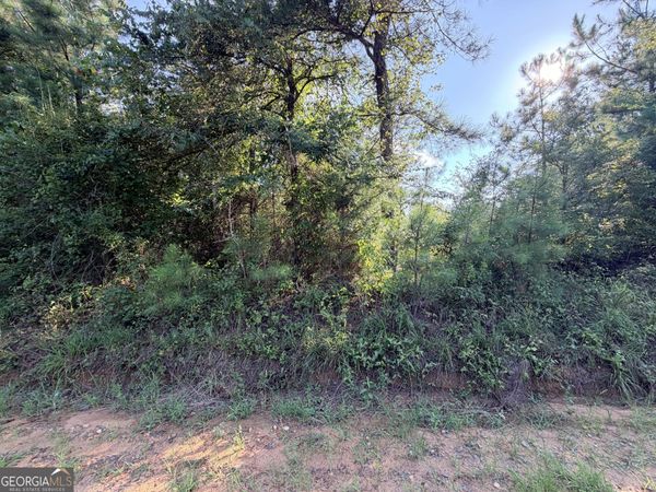 0 Hollis Road, Roberta, GA 31078