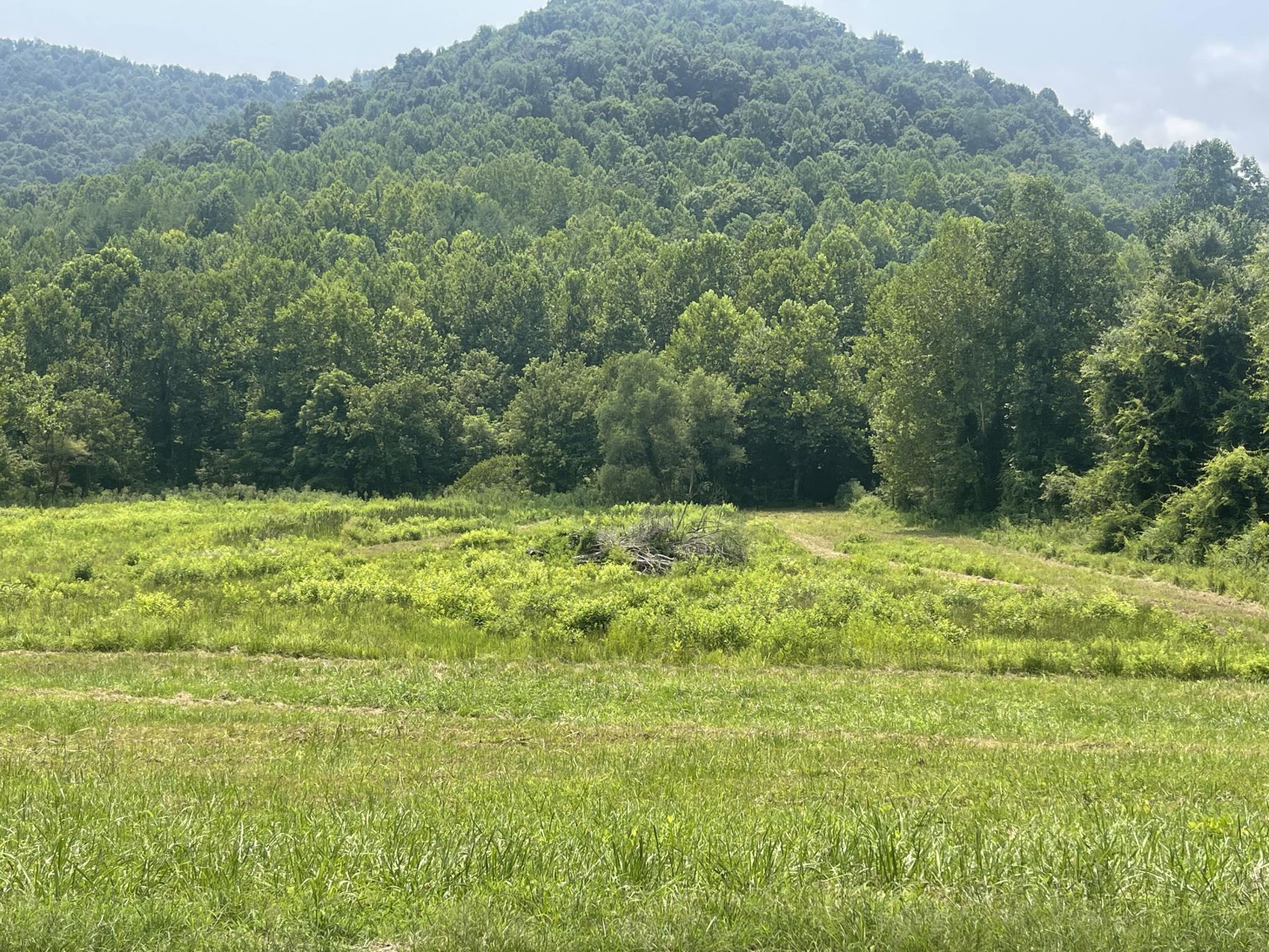 0 Moore Creek Road, Flat Lick, KY 40935