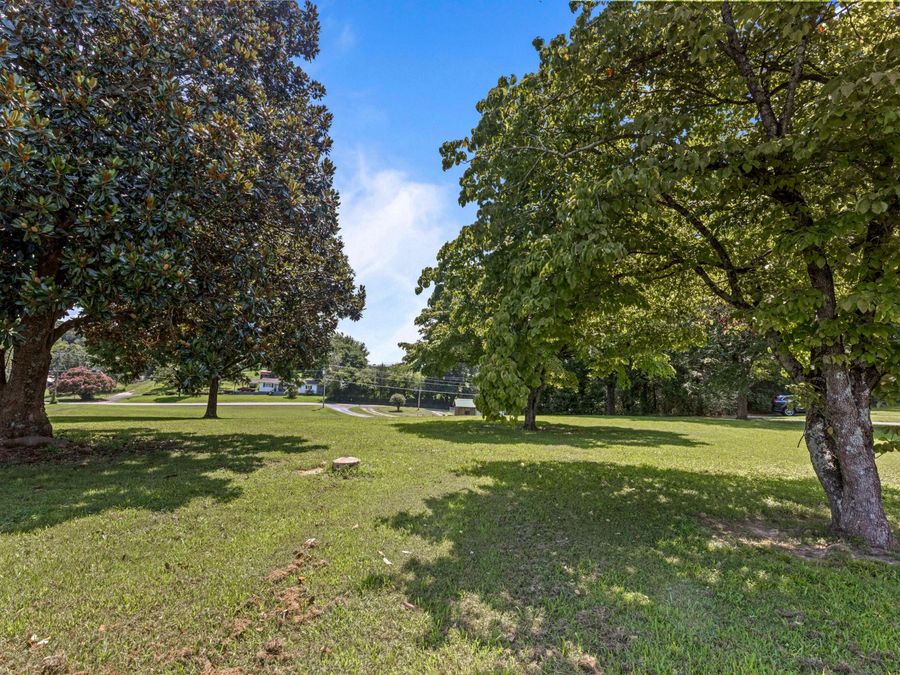 Property Image 58