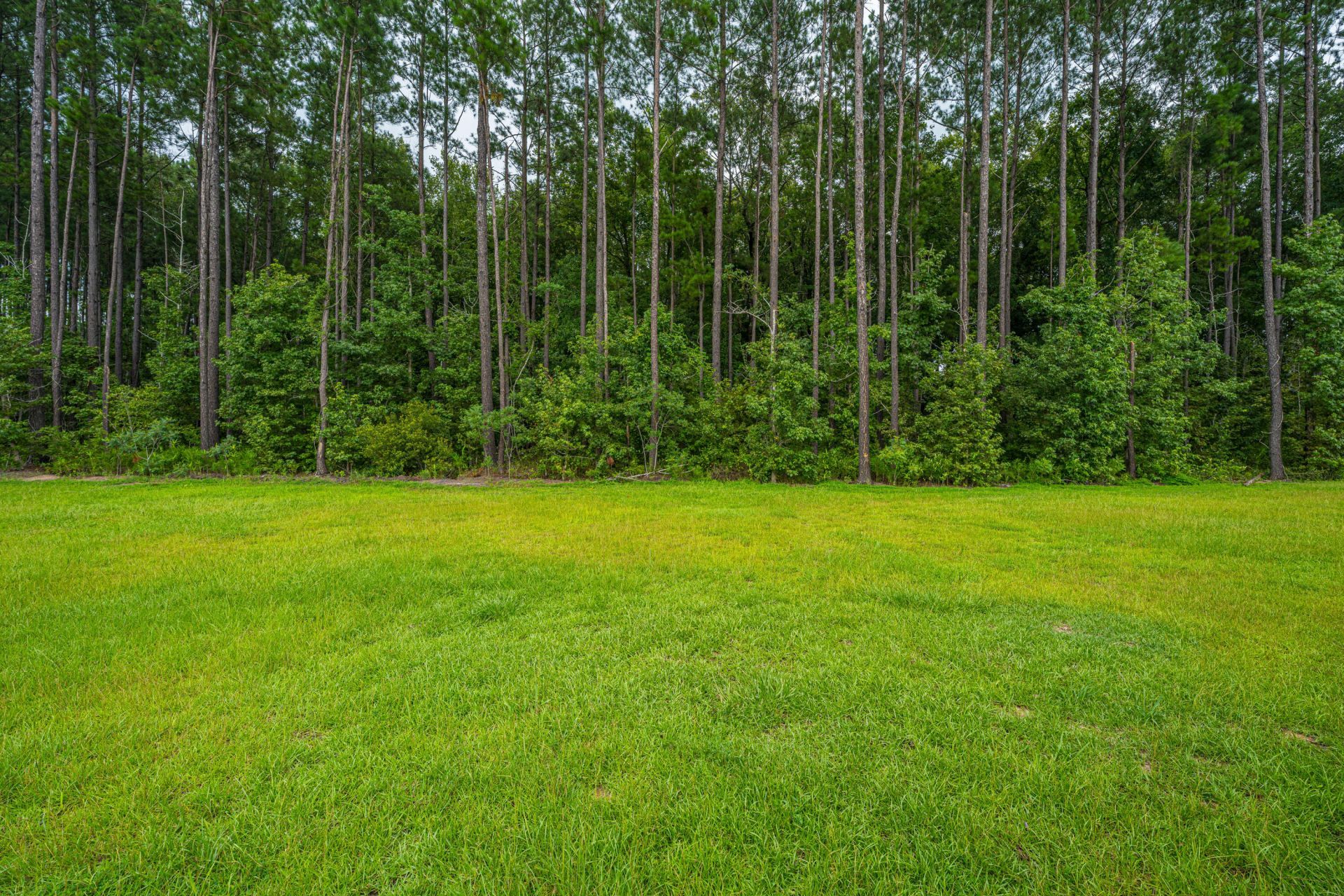 4469 Ocean Farm Drive Photo 49
