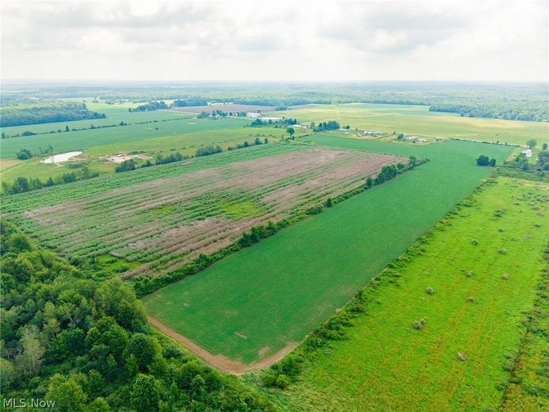 State Route 167 , Jefferson, OH 44047 Photo 11