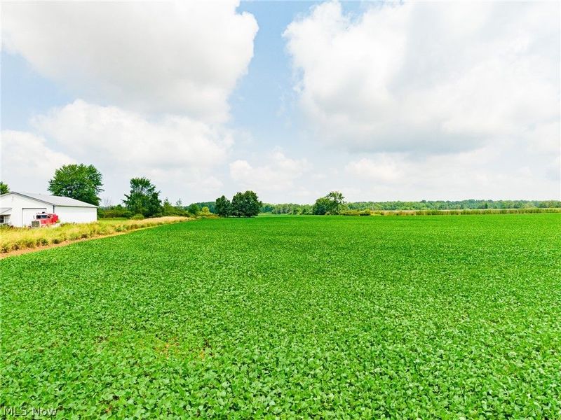 State Route 167 , Jefferson, OH 44047 Photo 17