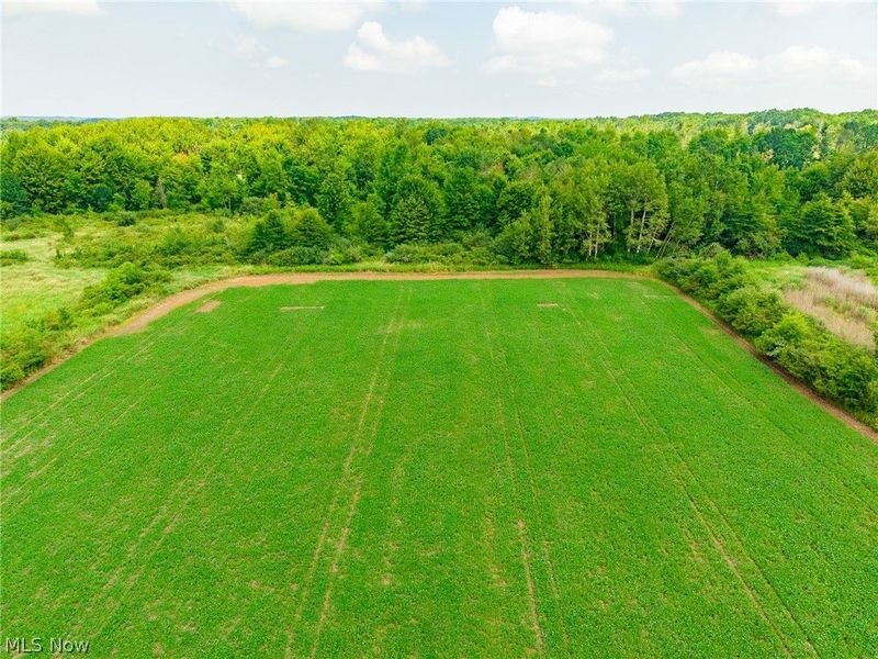 State Route 167 , Jefferson, OH 44047 Photo 27