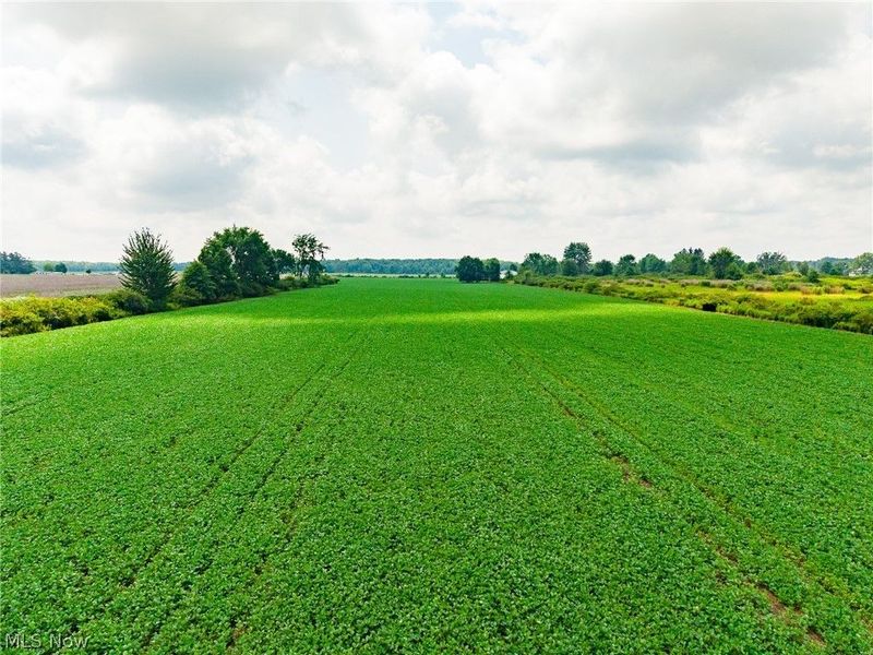 State Route 167 , Jefferson, OH 44047 Photo 30