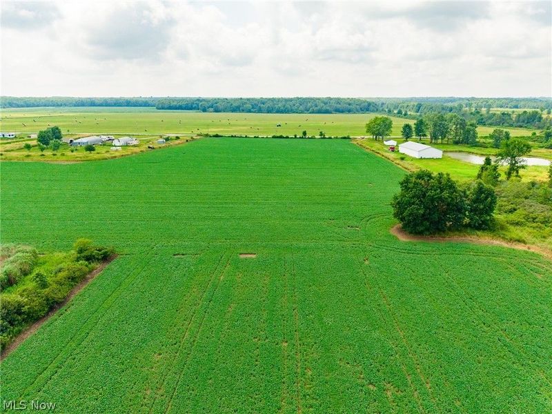 State Route 167 , Jefferson, OH 44047 Photo 31