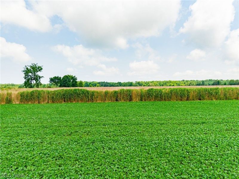 State Route 167 , Jefferson, OH 44047 Photo 37