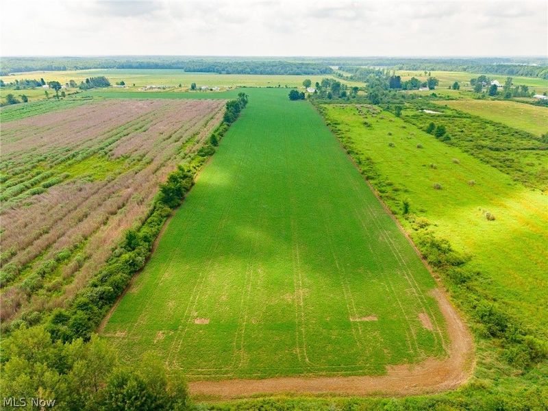 State Route 167 , Jefferson, OH 44047 Photo 9