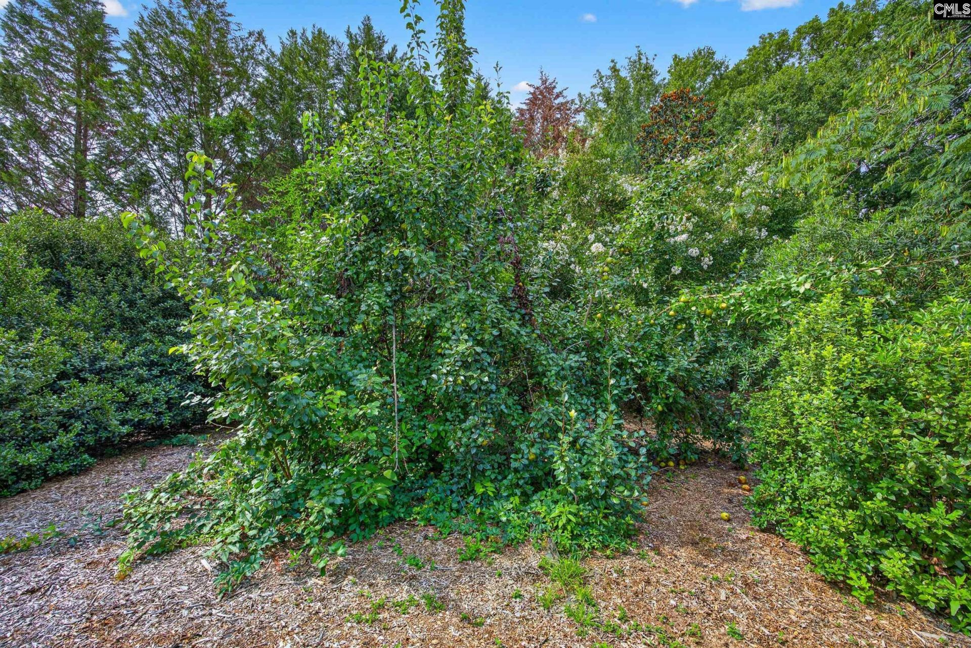 413 Wise Ferry Road  Photo 49