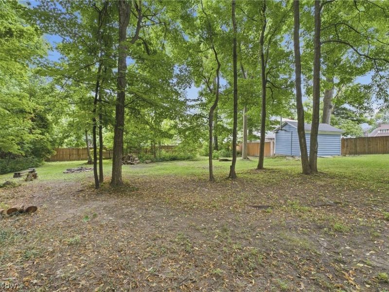 325 Vincent Street, Alliance, OH 44601 Photo 47