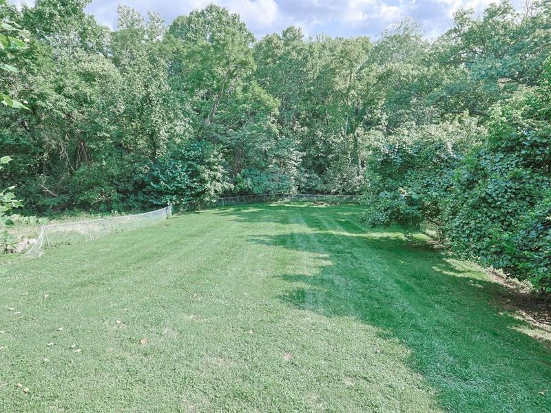 141 North Street, Southgate, KY 41071 Photo 36