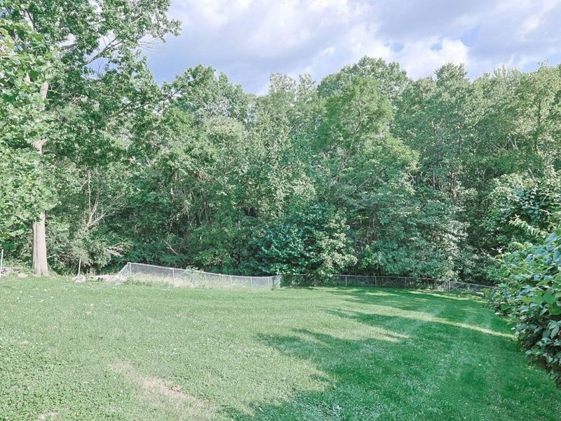 141 North Street, Southgate, KY 41071 Photo 37