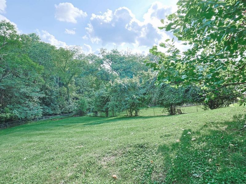 141 North Street, Southgate, KY 41071 Photo 38
