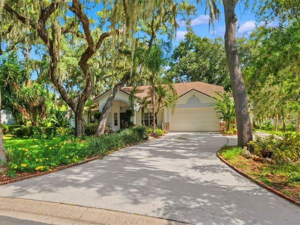 2770 BUCKHORN OAKS DRIVE , VALRICO, FL 33594
