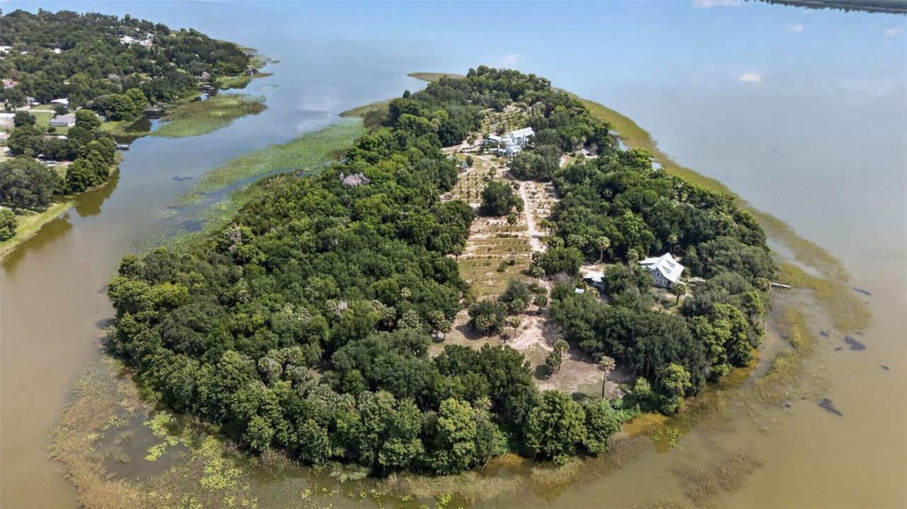 7950 Bannon Fish Camp Road, Haines City, FL 33844 Photo
