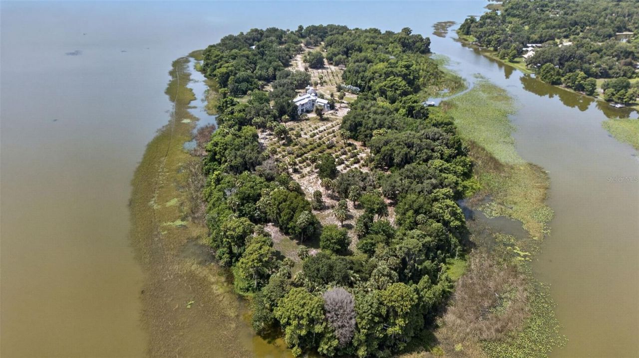 7950 Bannon Fish Camp Road, Haines City, FL 33844 Photo