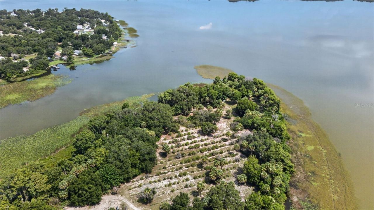 7950 Bannon Fish Camp Road, Haines City, FL 33844 Photo