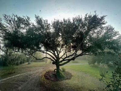 7950 Bannon Fish Camp Road, Haines City, FL 33844 Photo