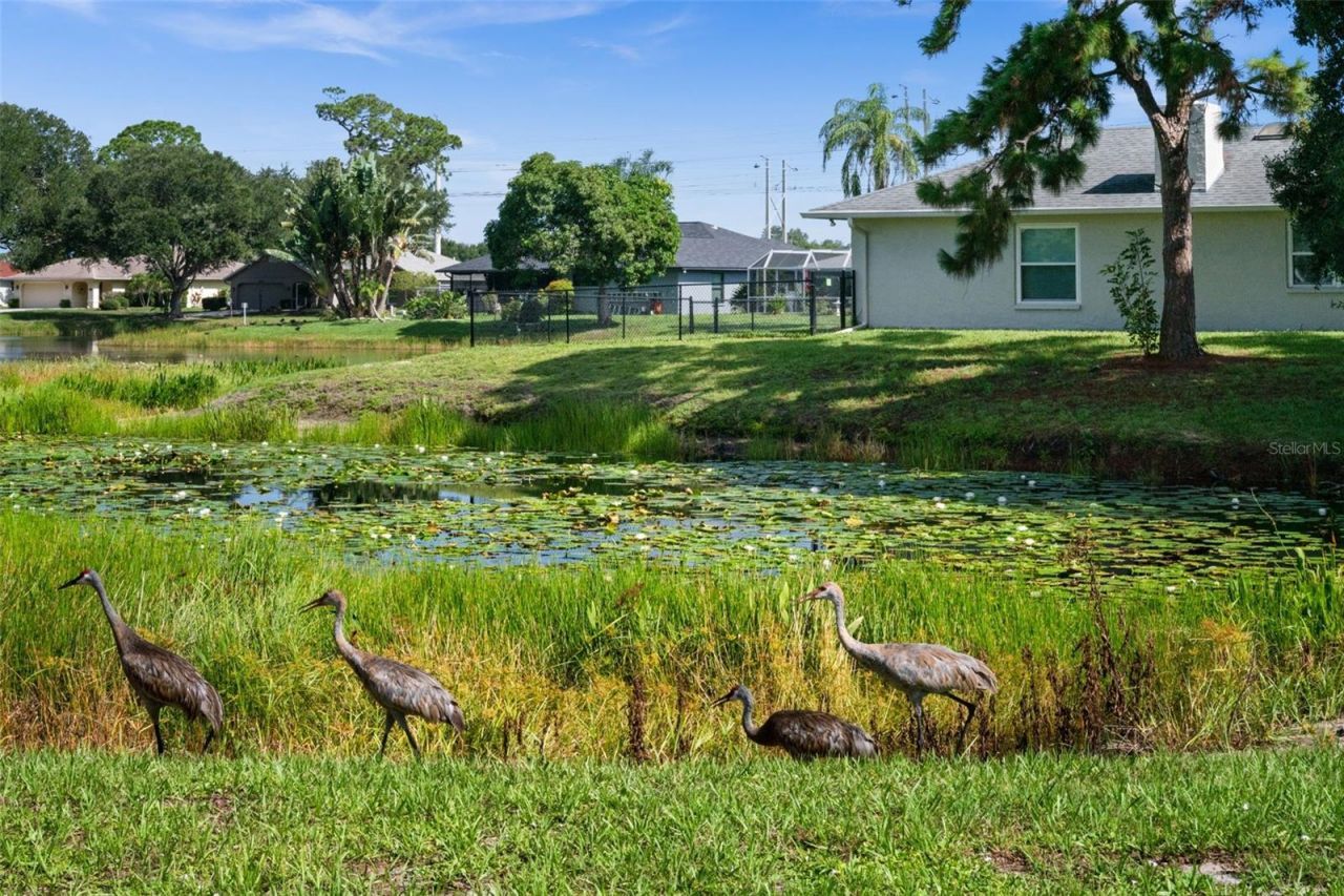 2210 Briar Creek Way, Sarasota, FL 34235 Photo