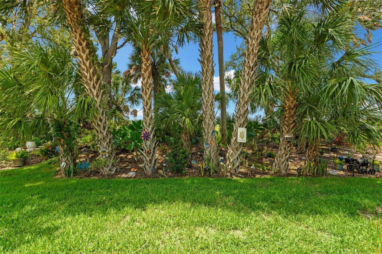 8923 49th Avenue E, Palmetto, FL 34221 Photo