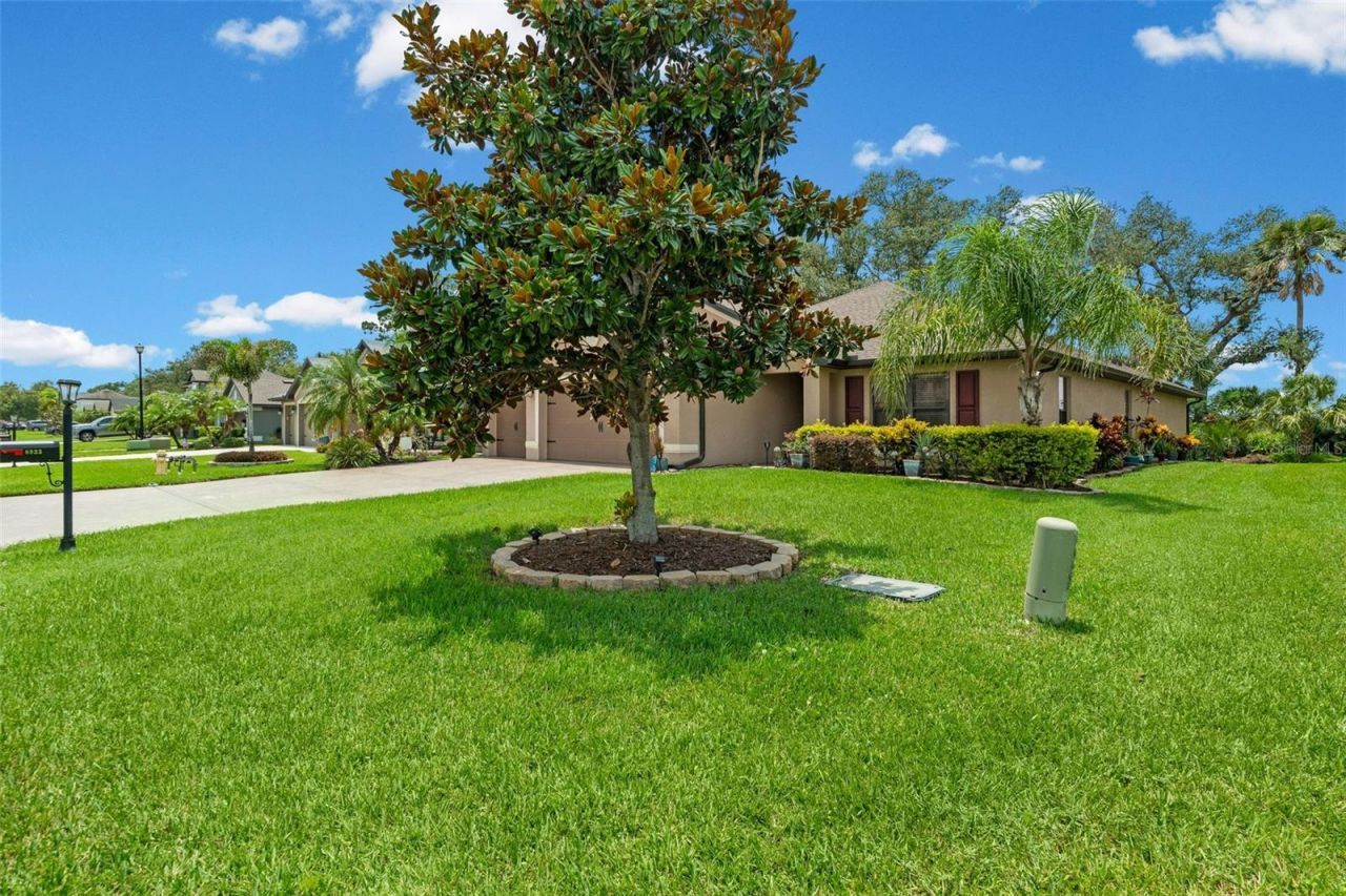 8923 49th Avenue E, Palmetto, FL 34221 Photo