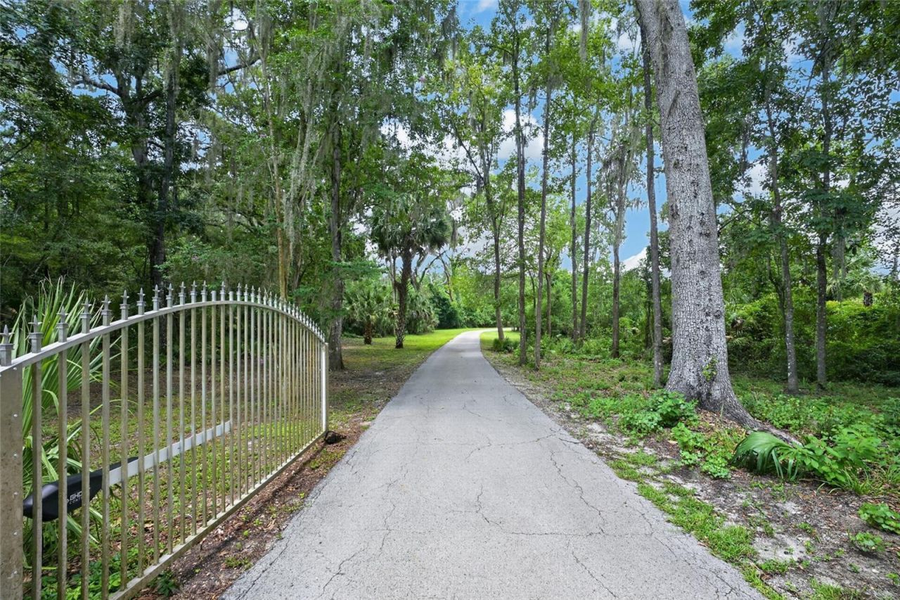 19040 NW 88th Avenue Road, Reddick, FL 32686 Photo