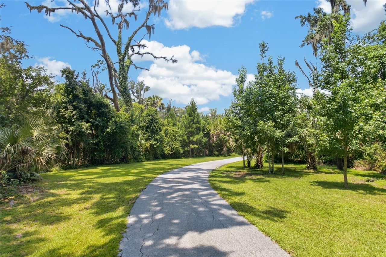 19040 NW 88th Avenue Road, Reddick, FL 32686 Photo
