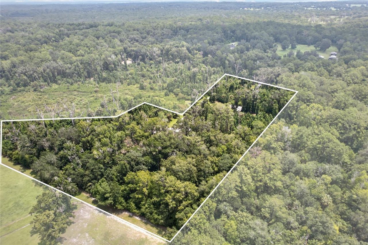 19040 NW 88th Avenue Road, Reddick, FL 32686 Photo