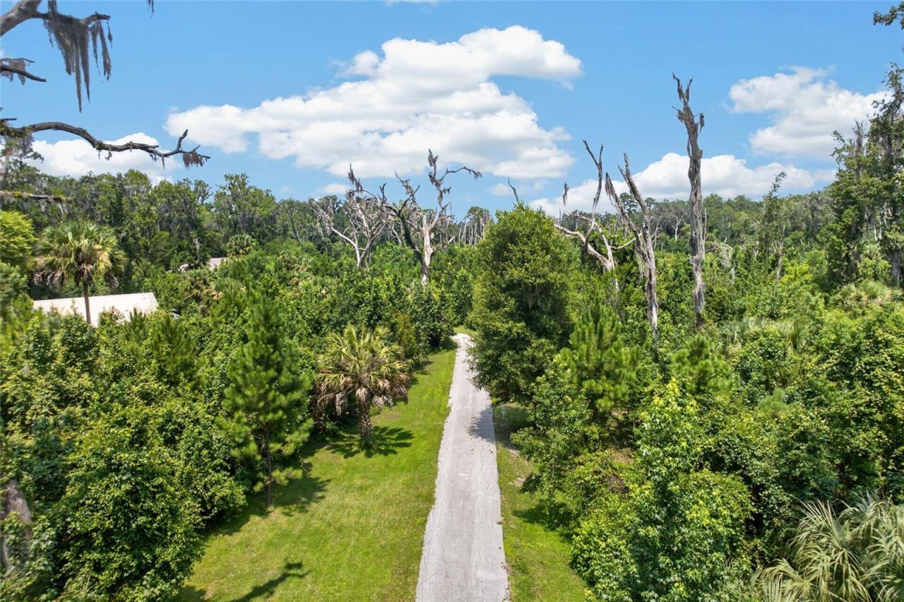 19040 NW 88th Avenue Road, Reddick, FL 32686 Photo